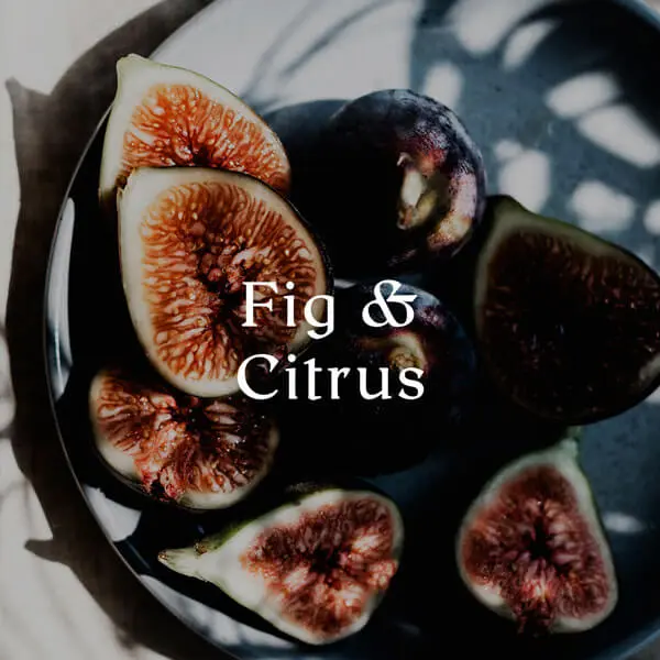 Cereria Molla - Fig & Citrus Candle
